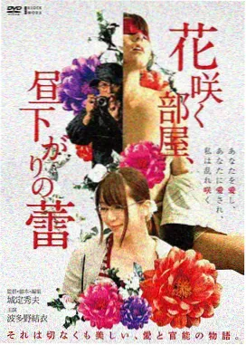 雾港谜案悬疑电影封面